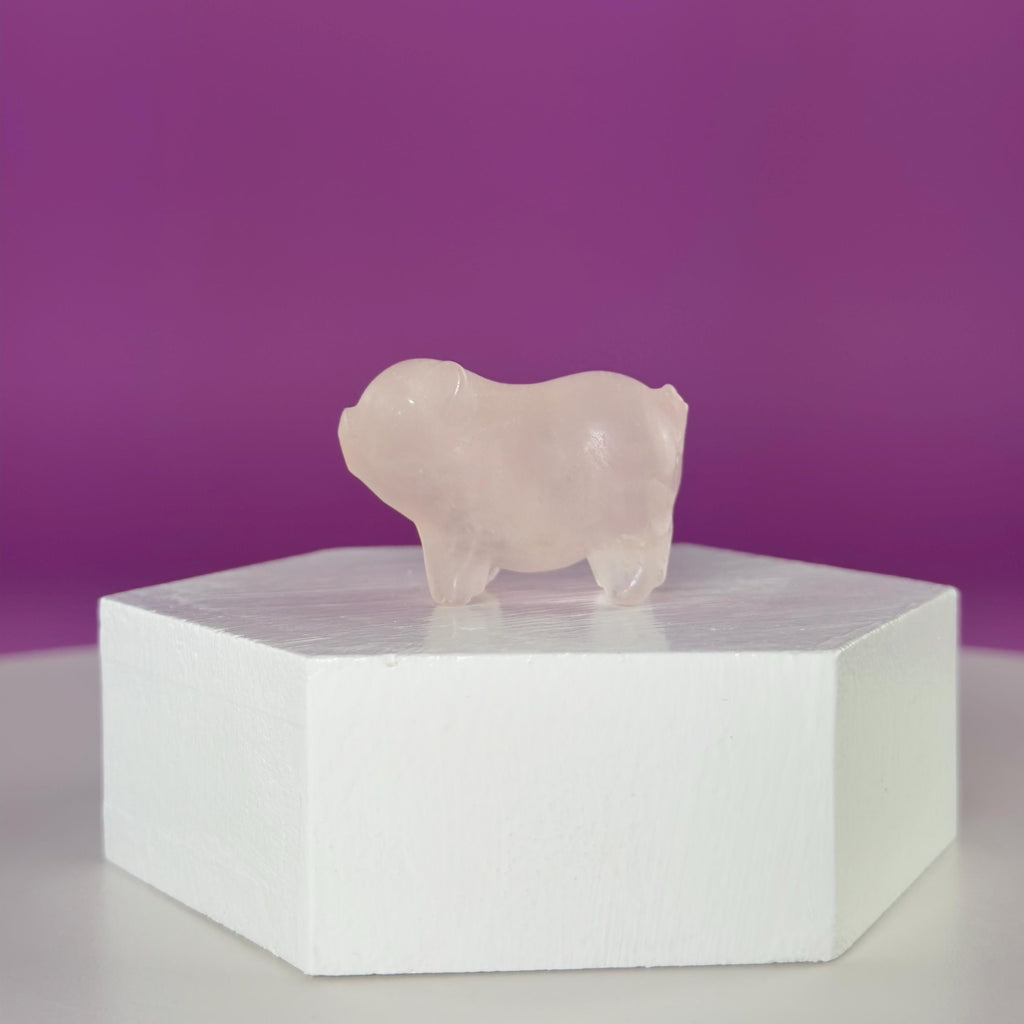 Mini Crystal Pig Carving – Gemstone Animal Figurine