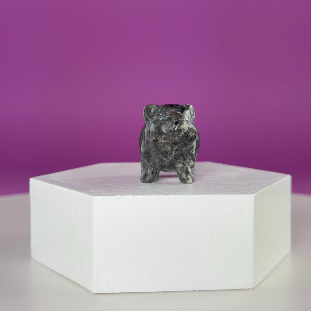 Mini Crystal Pig Carving – Gemstone Animal Figurine