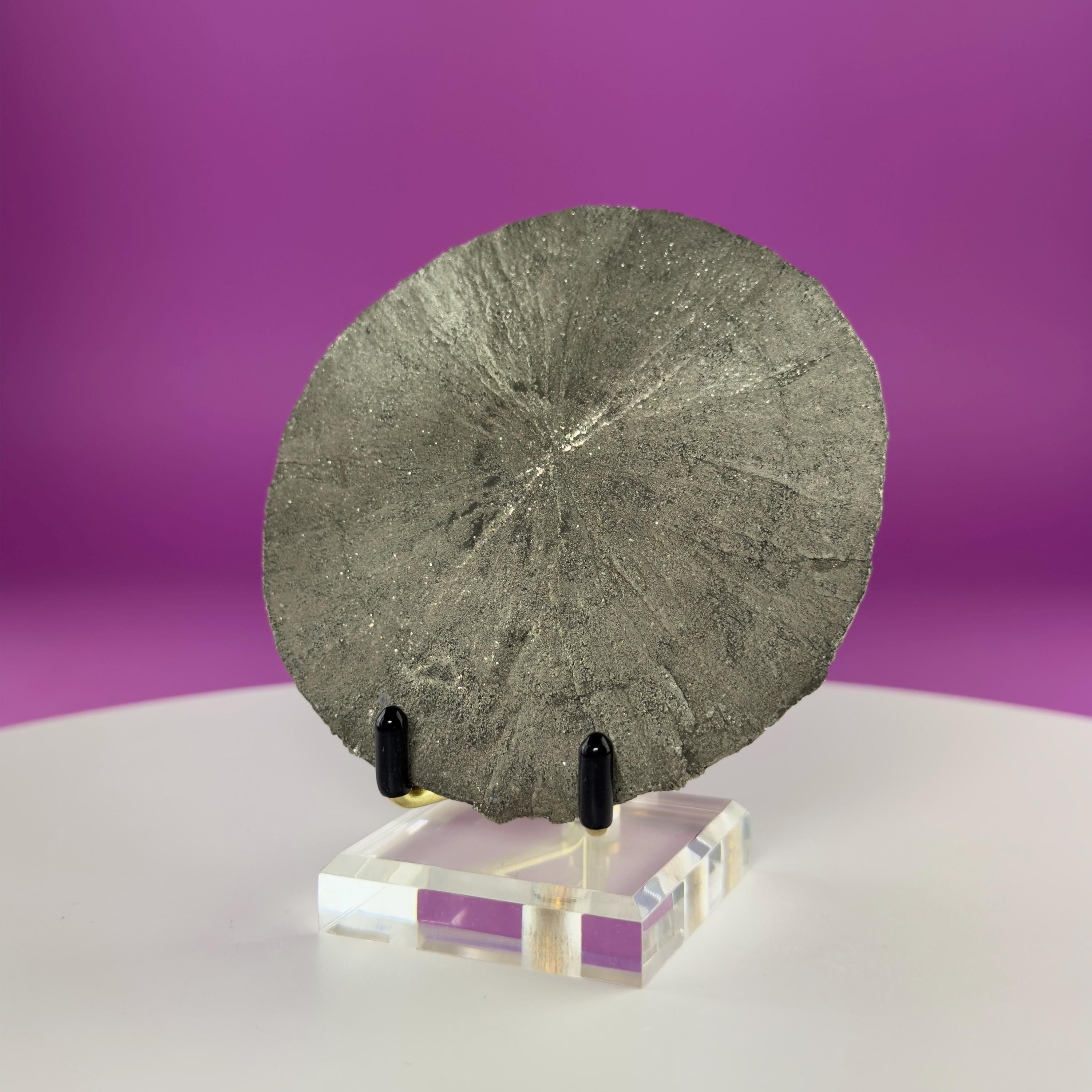Pyrite Sun Specimen with Display Stand – Illinois Natural Pyrite Disc