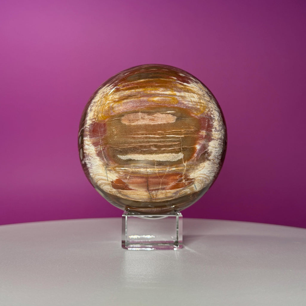 Petrified Wood Sphere with Stand | Natural Fossil Crystal Display (Imperfect / Repaired)