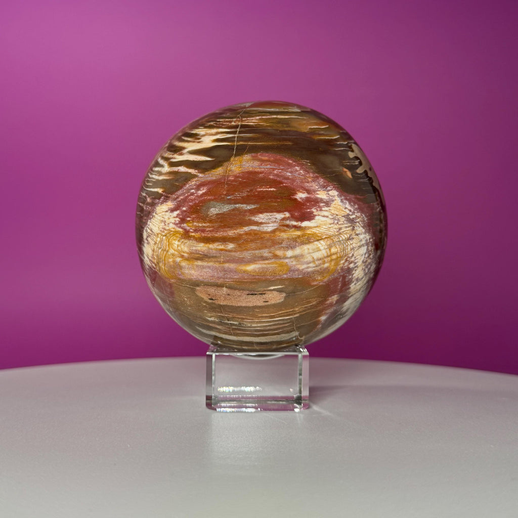 Petrified Wood Sphere with Stand | Natural Fossil Crystal Display (Imperfect / Repaired)