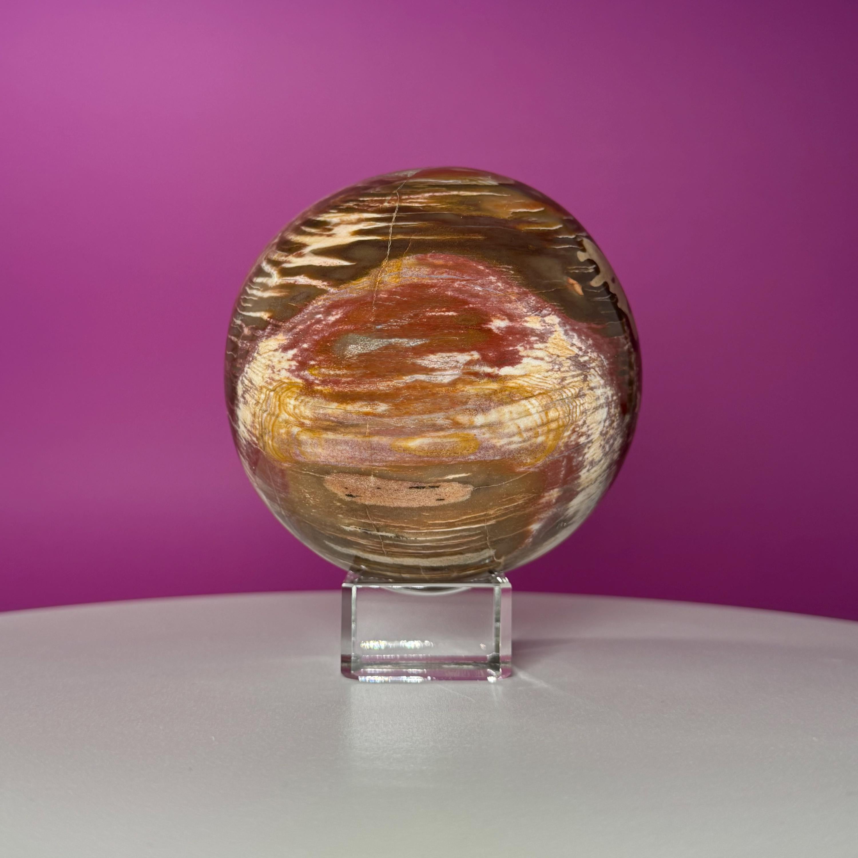Petrified Wood Sphere with Stand | Natural Fossil Crystal Display (Imperfect / Repaired)