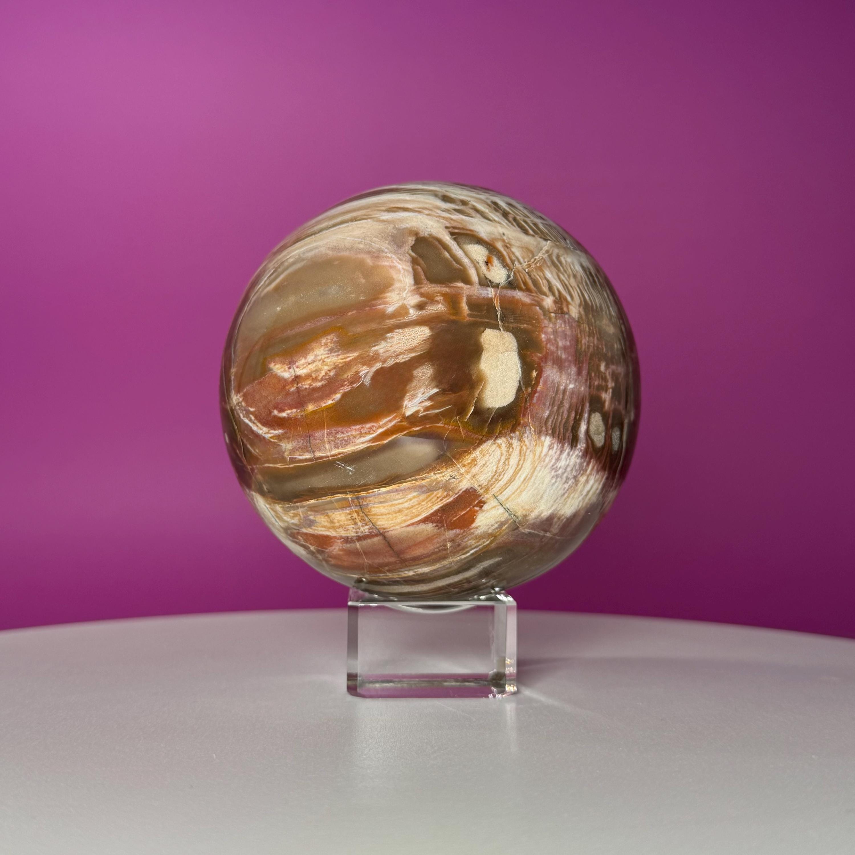 Petrified Wood Sphere with Stand | Natural Fossil Crystal Display (Imperfect / Repaired)