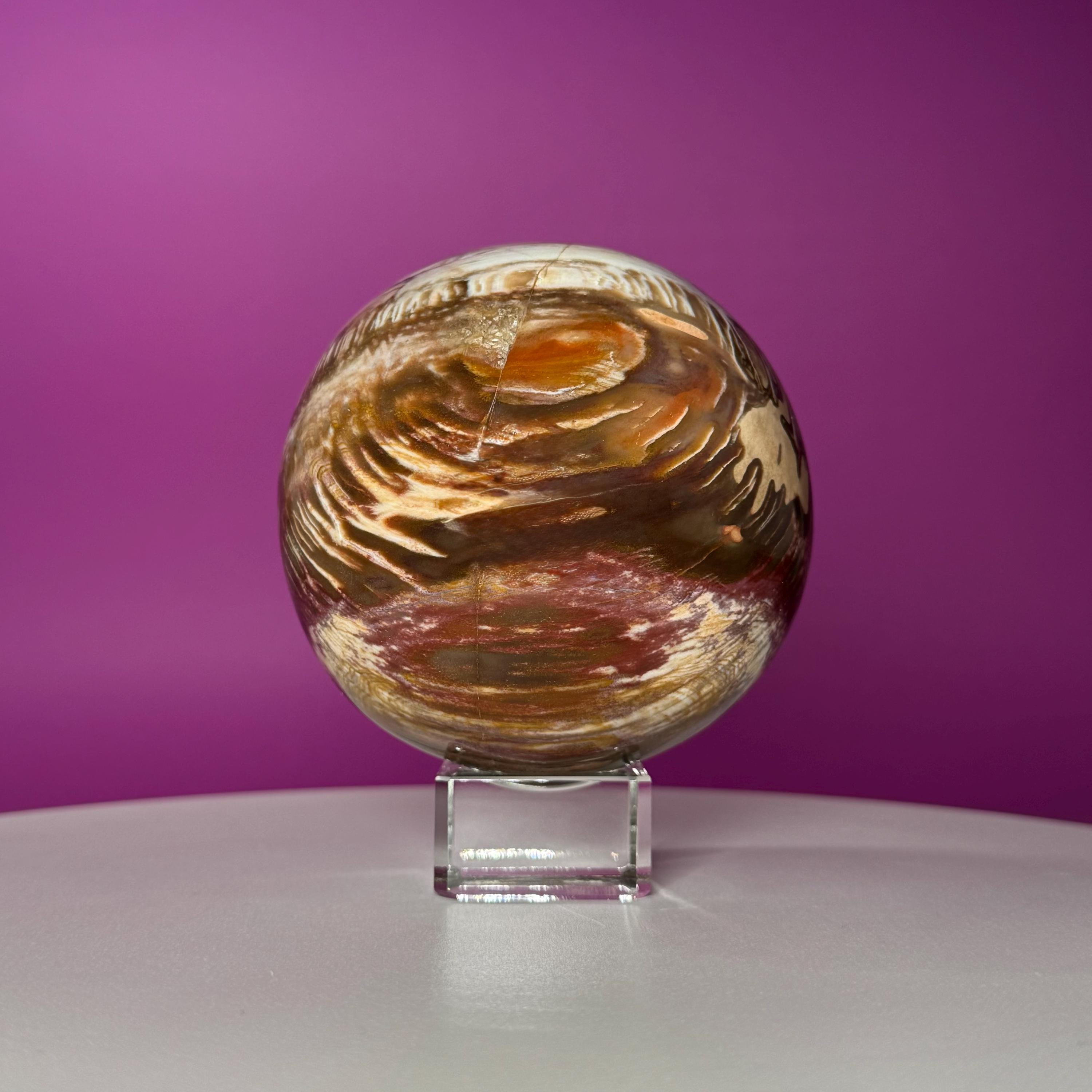 Petrified Wood Sphere with Stand | Natural Fossil Crystal Display (Imperfect / Repaired)