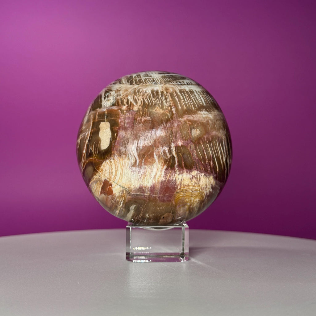 Petrified Wood Sphere with Stand | Natural Fossil Crystal Display (Imperfect / Repaired)