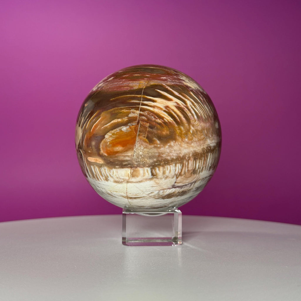 Petrified Wood Sphere with Stand | Natural Fossil Crystal Display (Imperfect / Repaired)