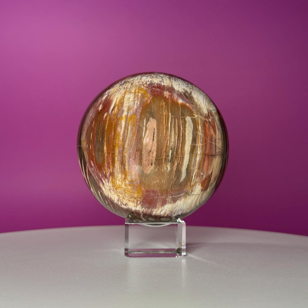 Petrified Wood Sphere with Stand | Natural Fossil Crystal Display (Imperfect / Repaired)