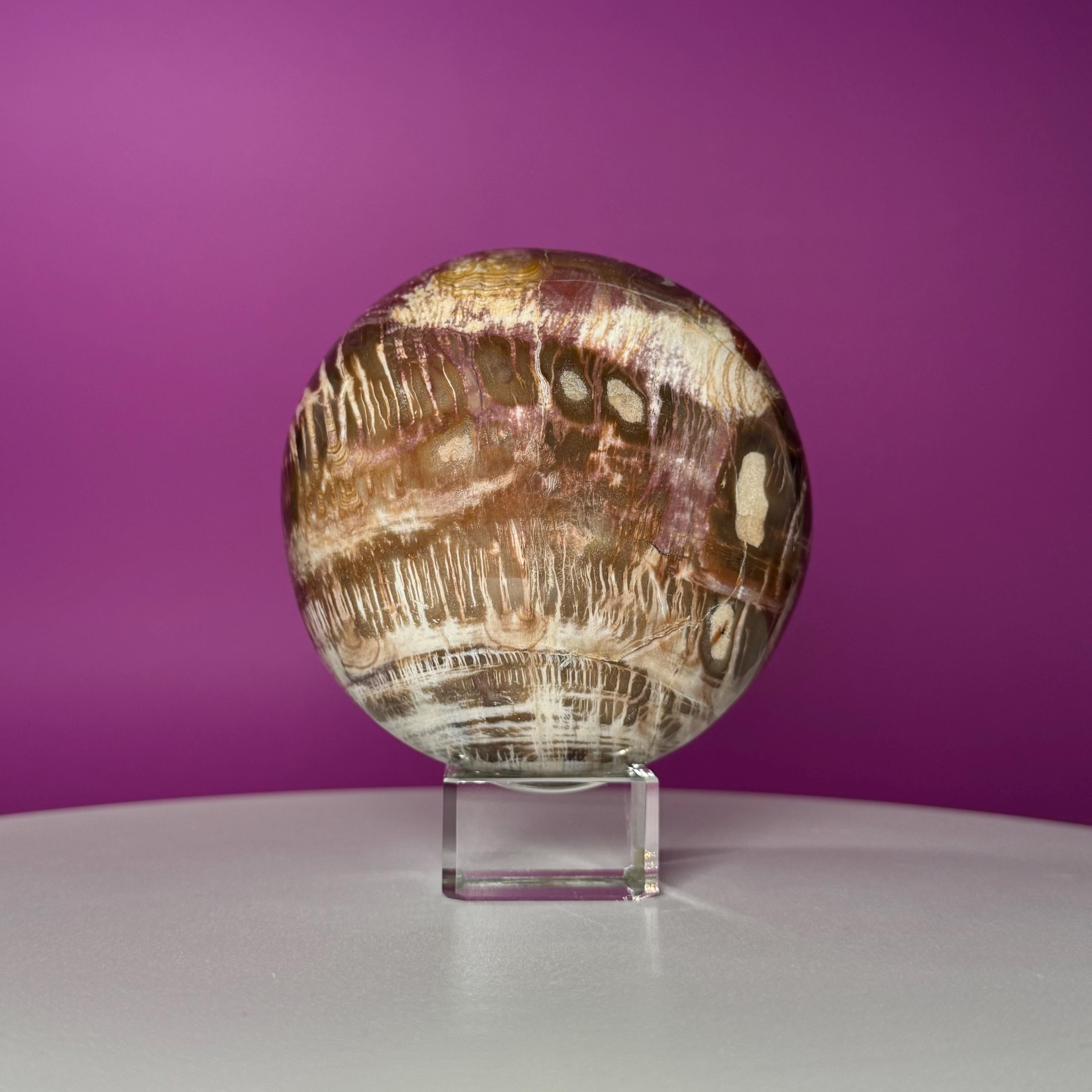 Petrified Wood Sphere with Stand | Natural Fossil Crystal Display (Imperfect / Repaired)