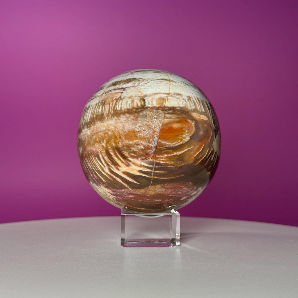Petrified Wood Sphere with Stand | Natural Fossil Crystal Display (Imperfect / Repaired)