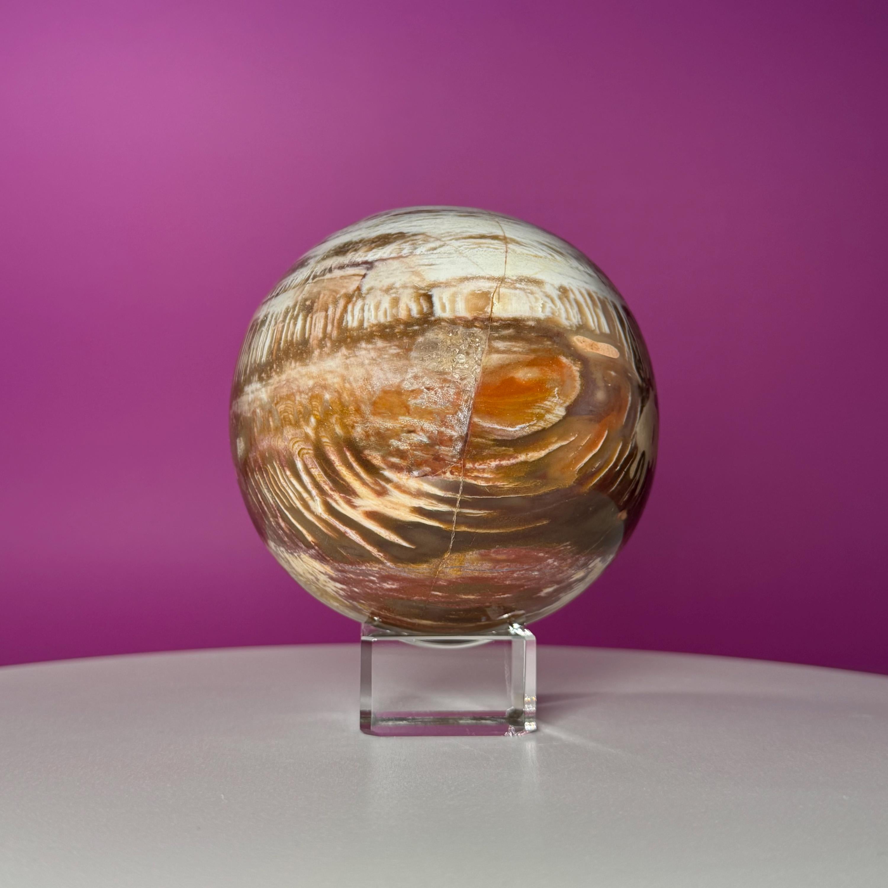 Petrified Wood Sphere with Stand | Natural Fossil Crystal Display (Imperfect / Repaired)