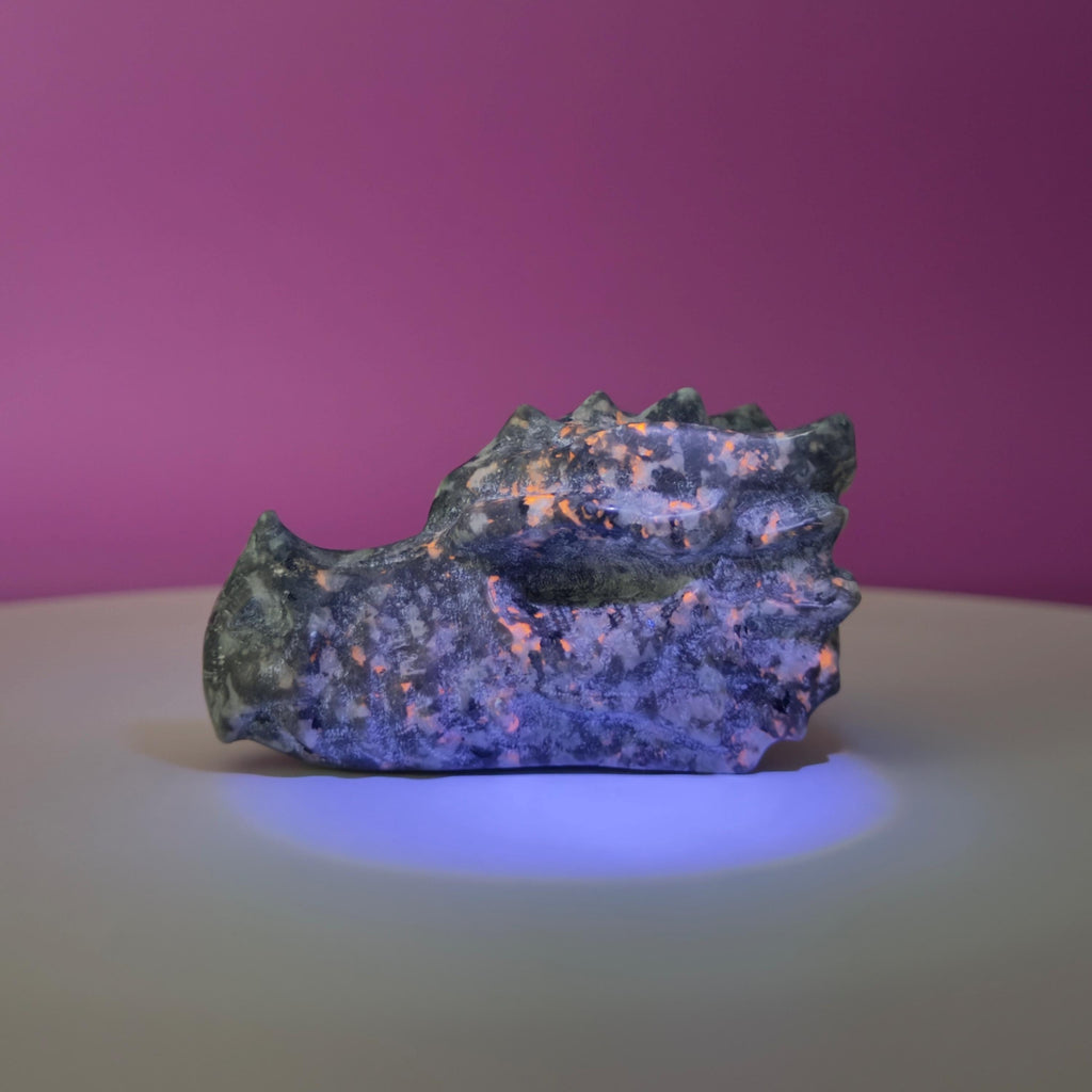 Yooperlite Dragon Skull Carving 138g | UV Reactive Crystal Skull | Fluorescent Stone