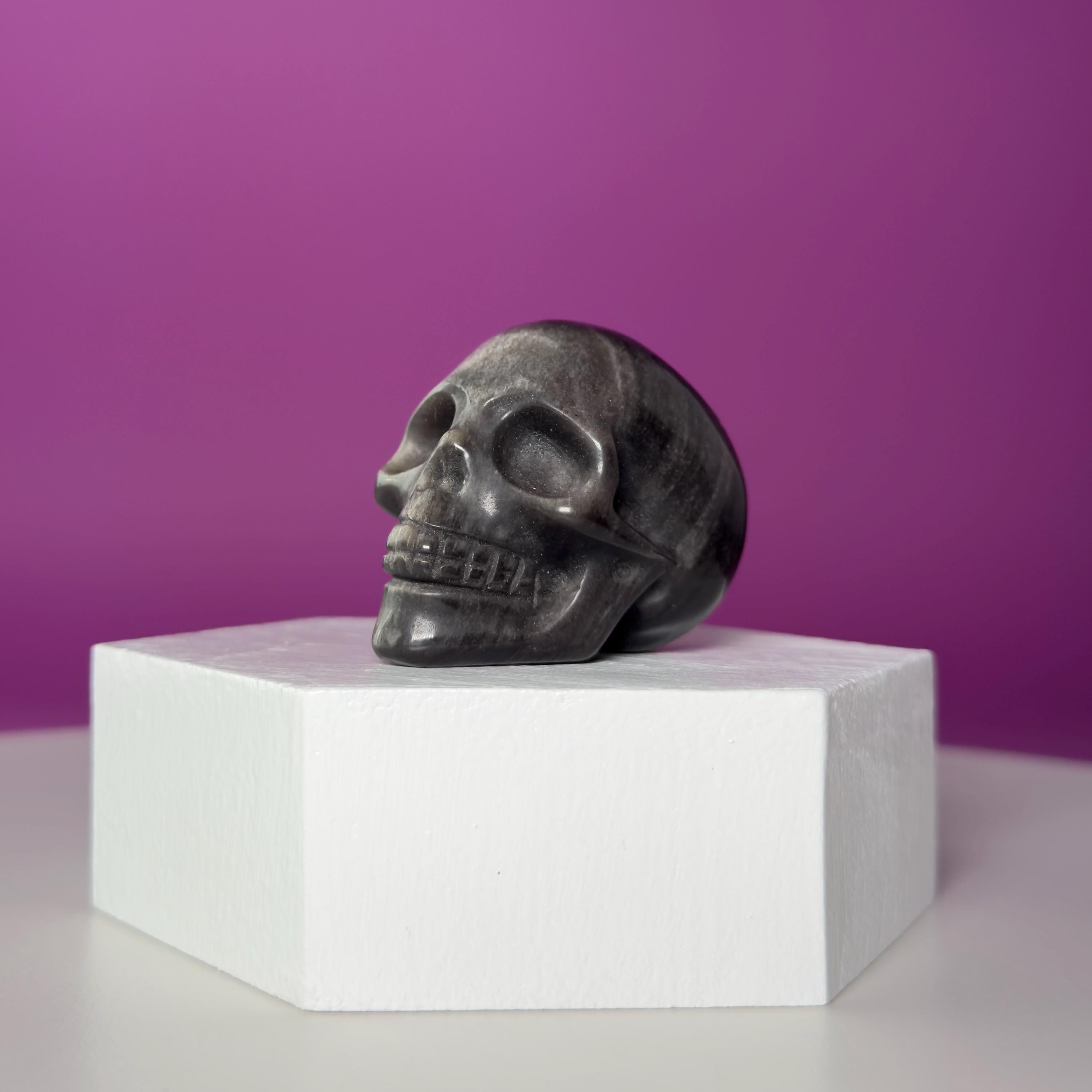 Silver Sheen Obsidian Skull Carving | Polished Crystal Skull for Protection & Grounding
