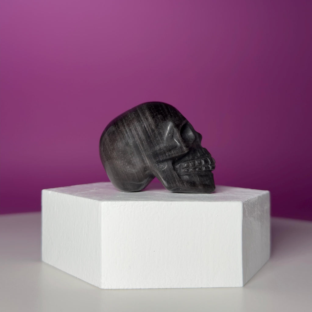 Silver Sheen Obsidian Skull Carving | Polished Crystal Skull for Protection & Grounding