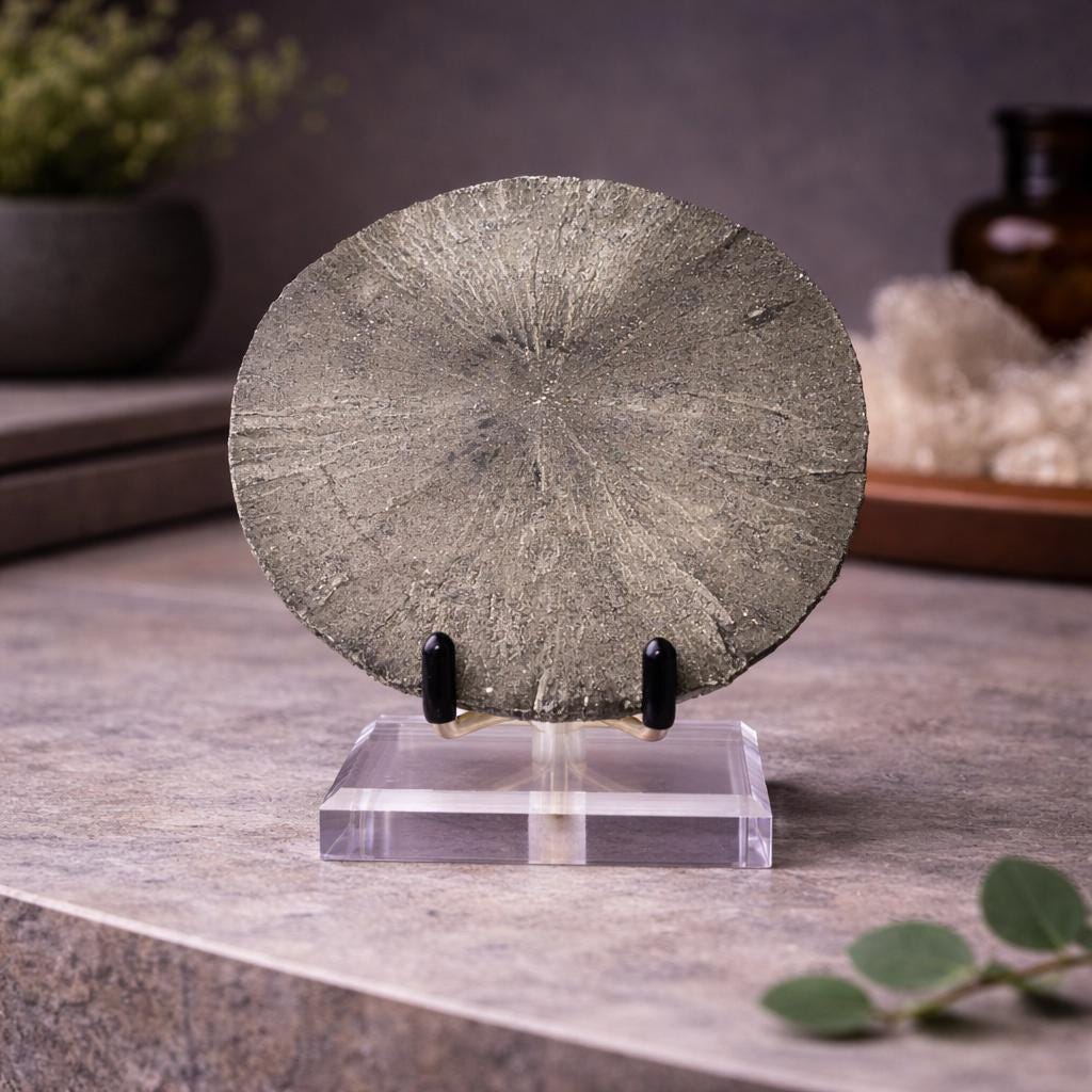 Pyrite Sun Specimen with Display Stand – Illinois Natural Pyrite Disc
