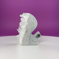 Quartz Squirrel Carving with Natural Crystal Points Tail – 138g Unique Animal Crystal