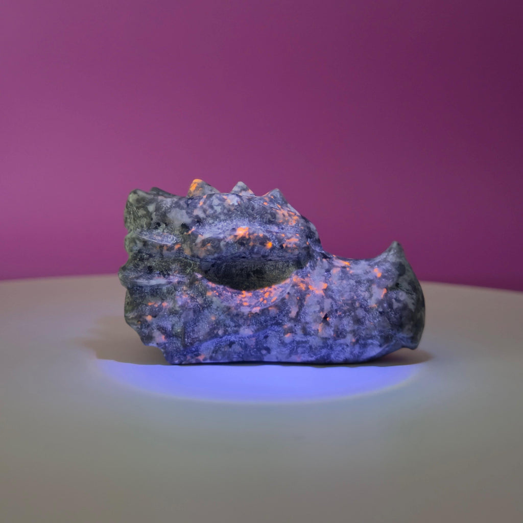 Yooperlite Dragon Skull Carving 138g | UV Reactive Crystal Skull | Fluorescent Stone