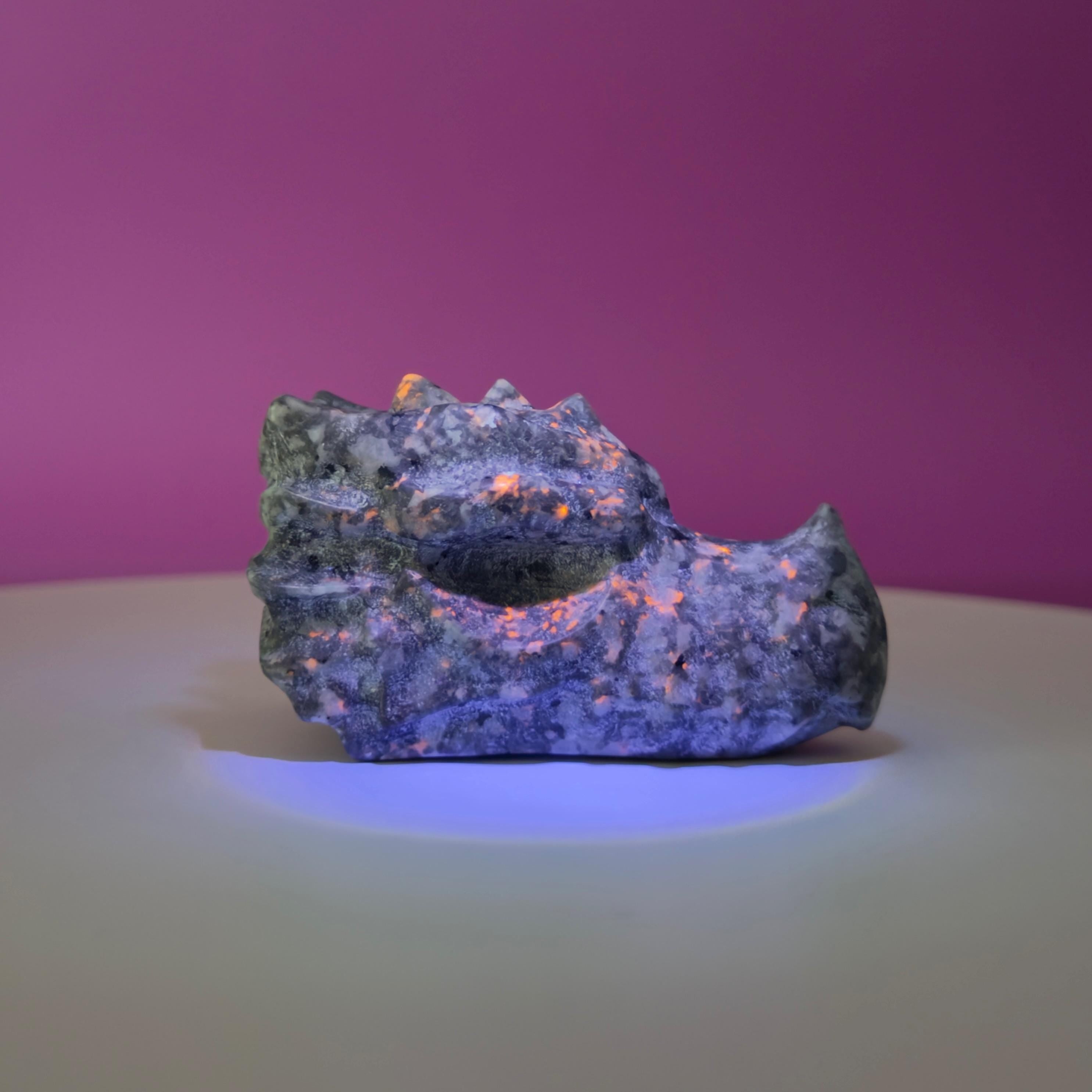 Yooperlite Dragon Skull Carving 138g | UV Reactive Crystal Skull | Fluorescent Stone