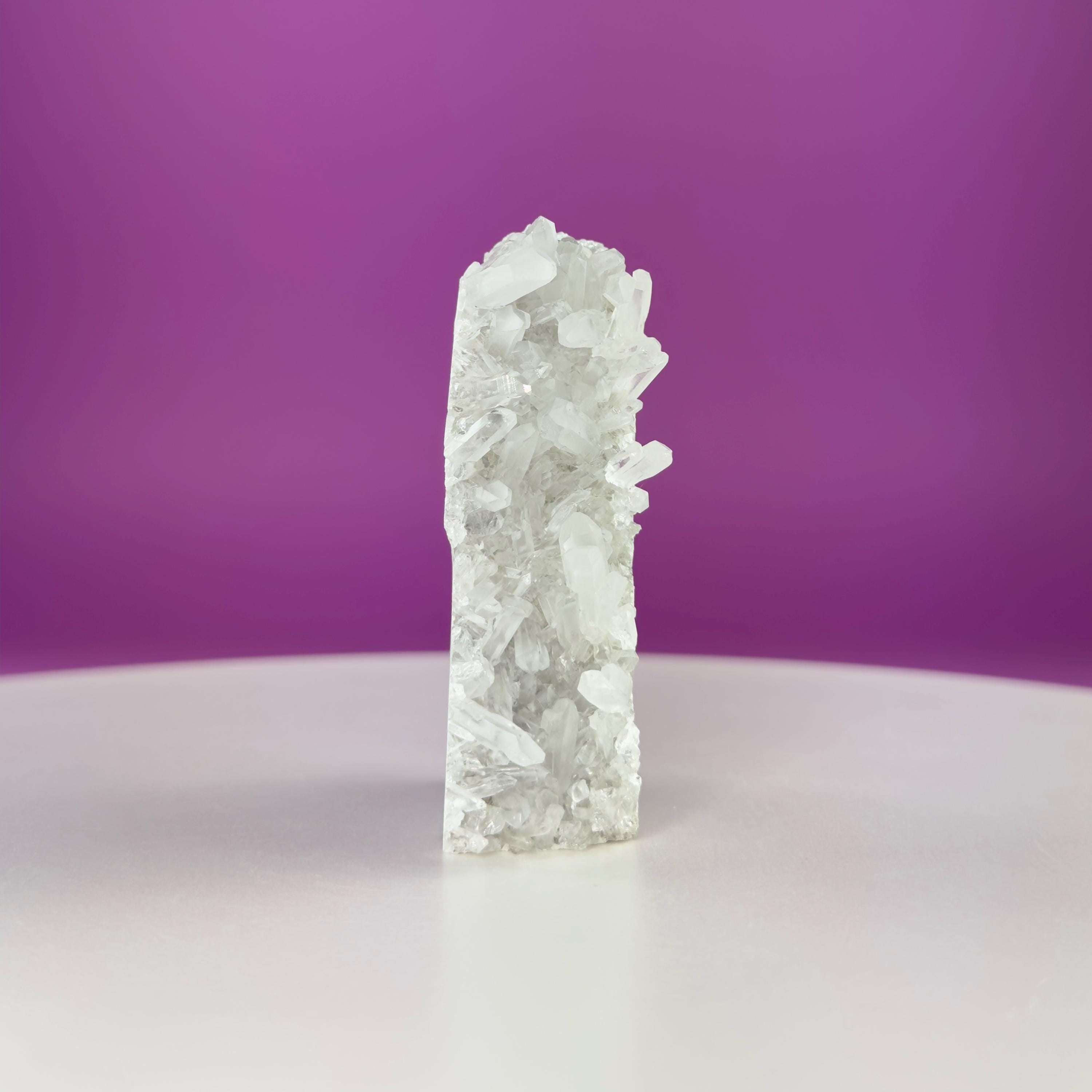 Quartz Squirrel Carving with Natural Crystal Points Tail – 138g Unique Animal Crystal
