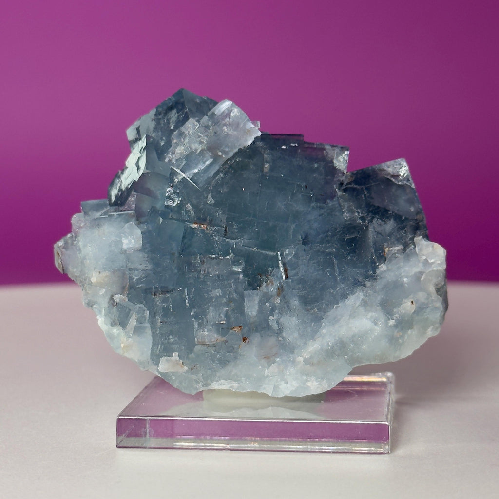 UV Reactive Beijing Fluorite Specimen with Display & Mineral Putty | Cubic Blue Green Crystal