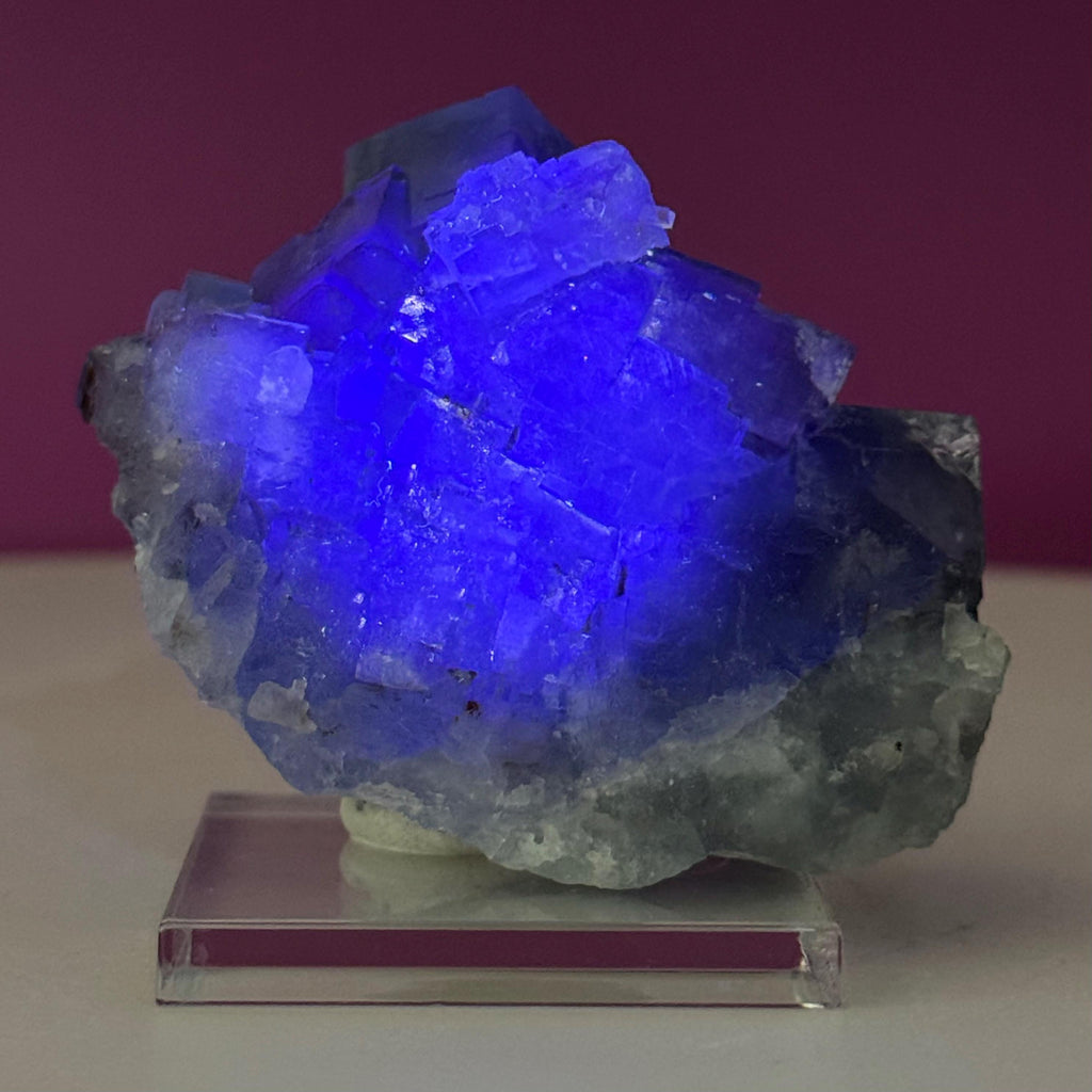 UV Reactive Beijing Fluorite Specimen with Display & Mineral Putty | Cubic Blue Green Crystal