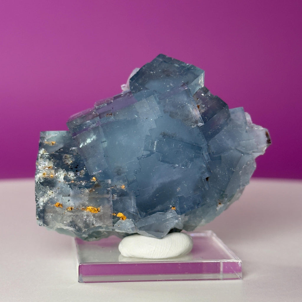 UV Reactive Beijing Fluorite Specimen with Display & Mineral Putty | Cubic Blue Green Crystal