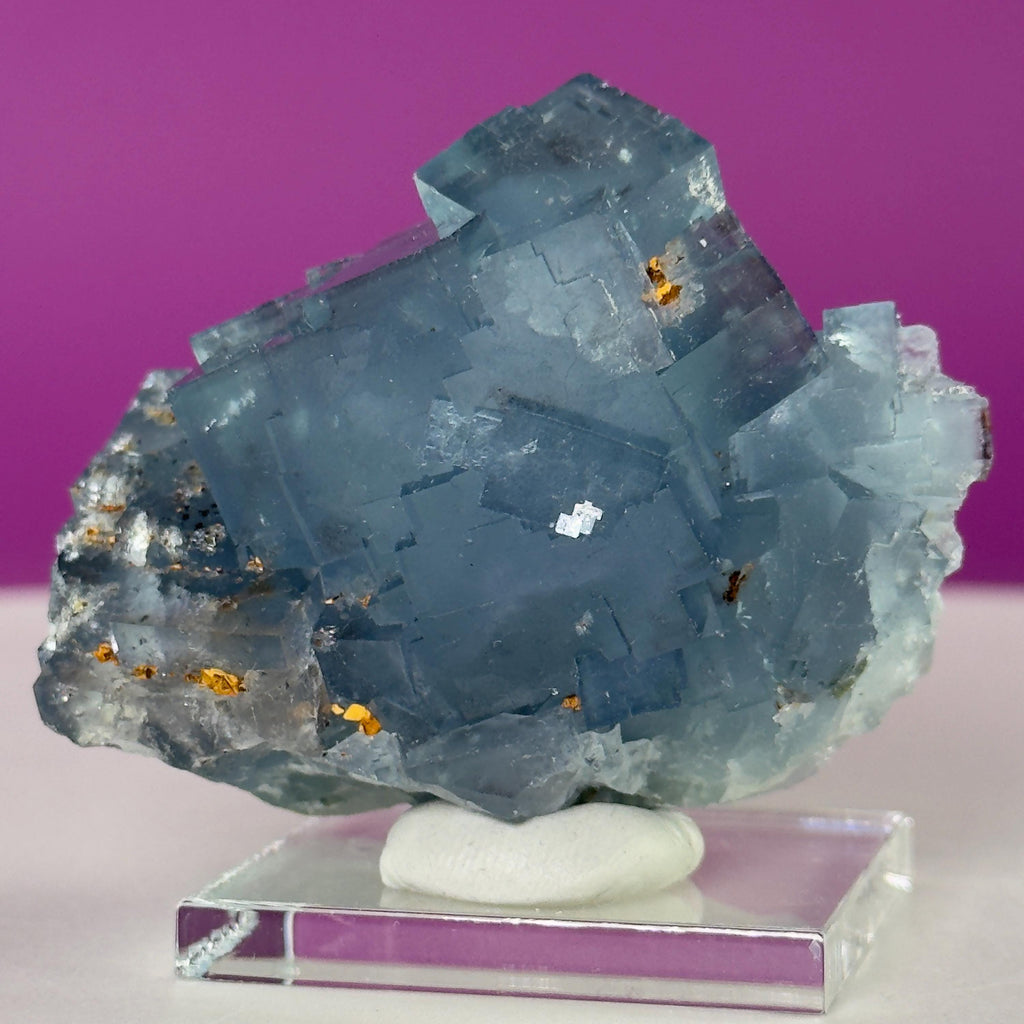 UV Reactive Beijing Fluorite Specimen with Display & Mineral Putty | Cubic Blue Green Crystal