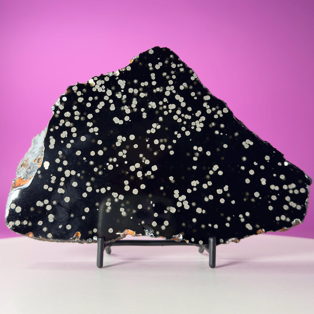 Stardust Obsidian Slab, Celestial Display Stone, Collector Decor with Black Metal Stand