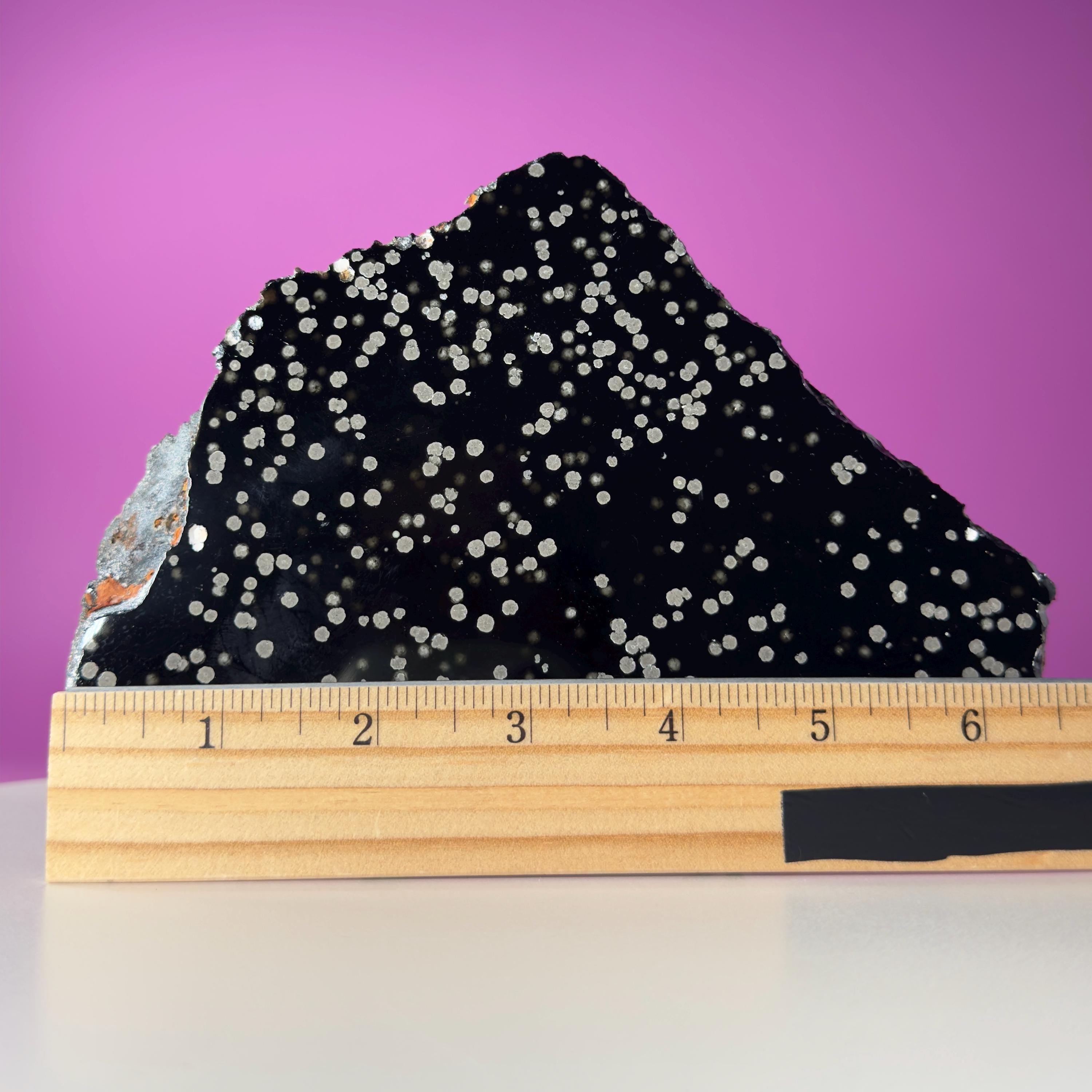Stardust Obsidian Slab, Celestial Display Stone, Collector Decor with Black Metal Stand