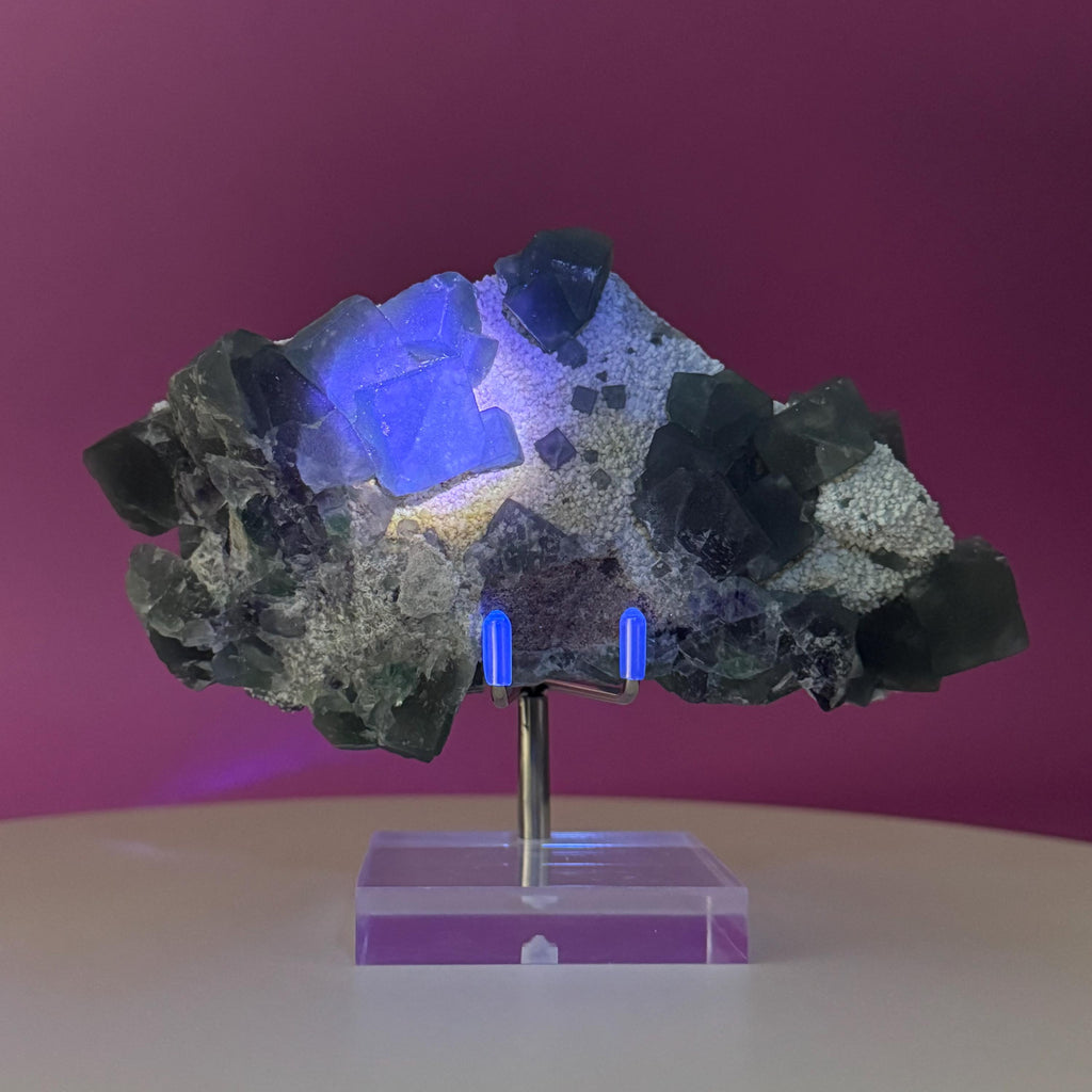 Blue Green Fluorite Specimen from Huanggangliang Mine | Inner Mongolia Crystal Display with Stand