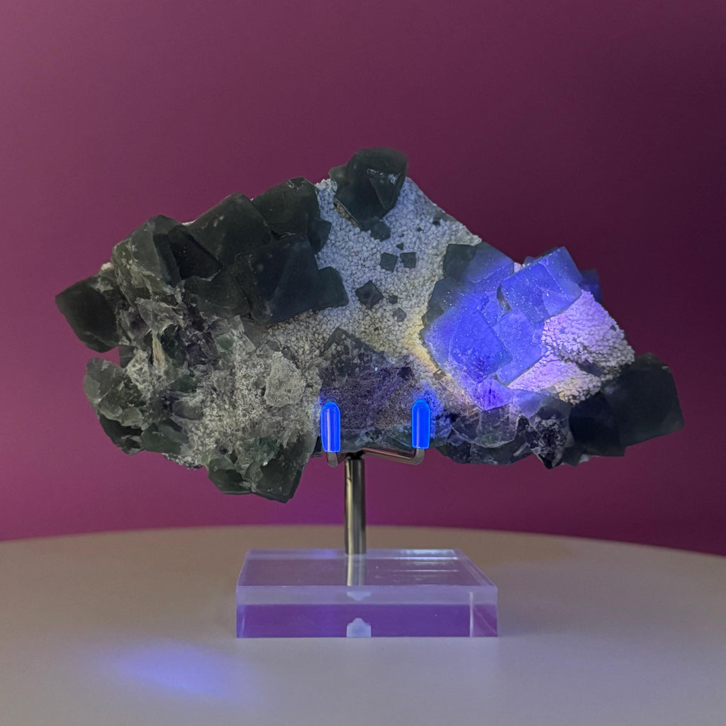 Blue Green Fluorite Specimen from Huanggangliang Mine | Inner Mongolia Crystal Display with Stand