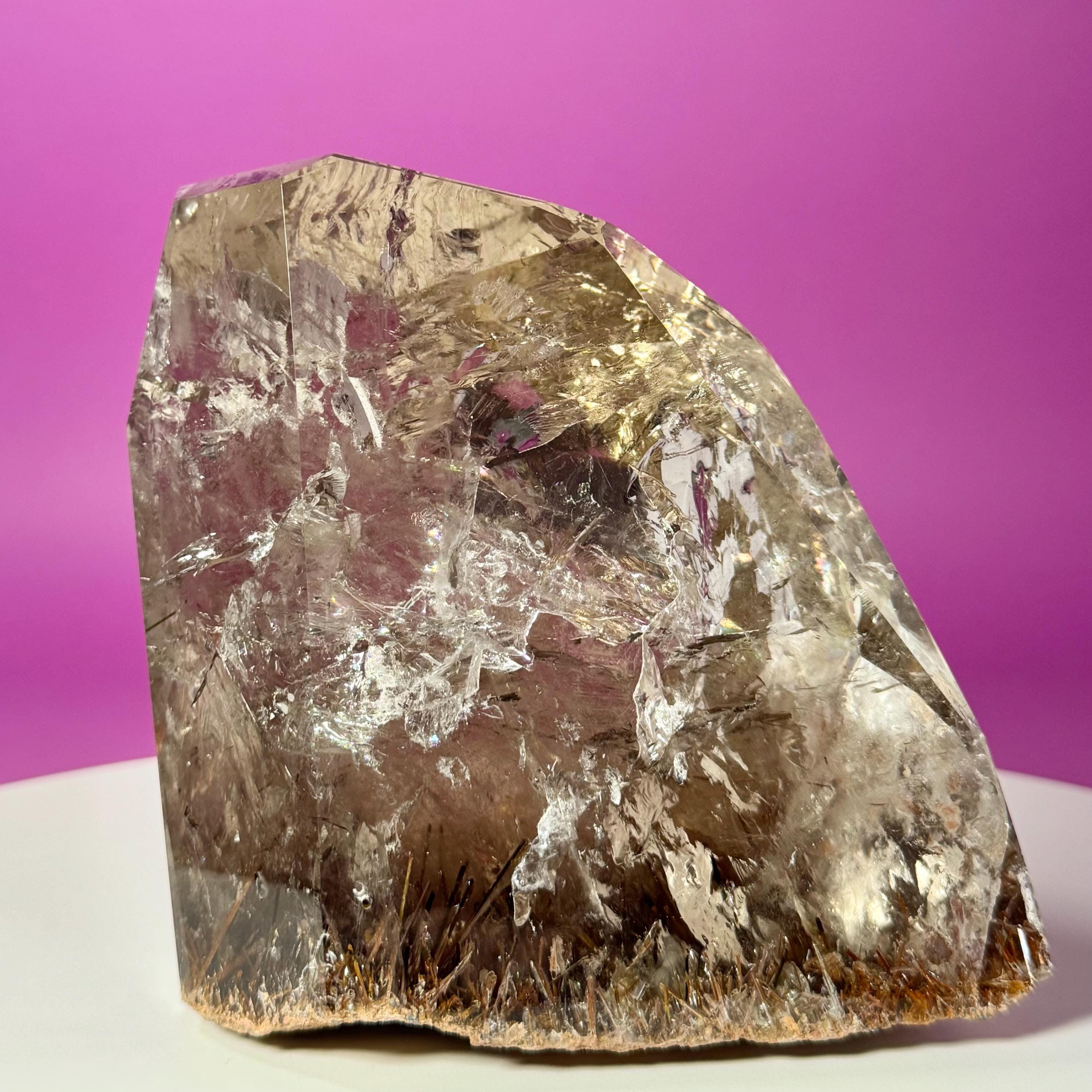 Rutile Quartz with Garden Inclusions on Custom Root Stand | Collector Crystal Display