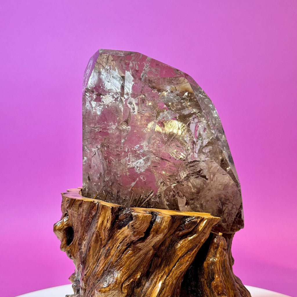 Rutile Quartz with Garden Inclusions on Custom Root Stand | Collector Crystal Display