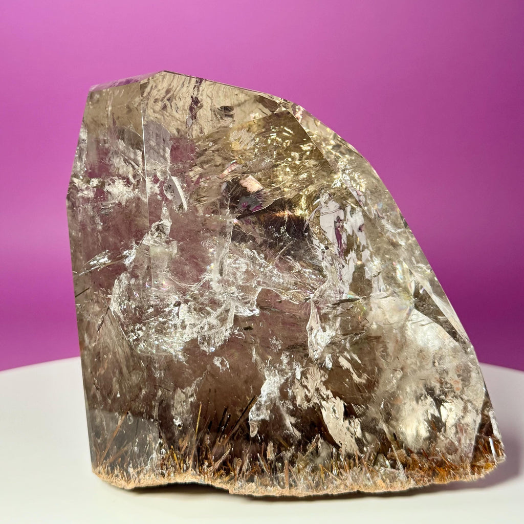 Rutile Quartz with Garden Inclusions on Custom Root Stand | Collector Crystal Display