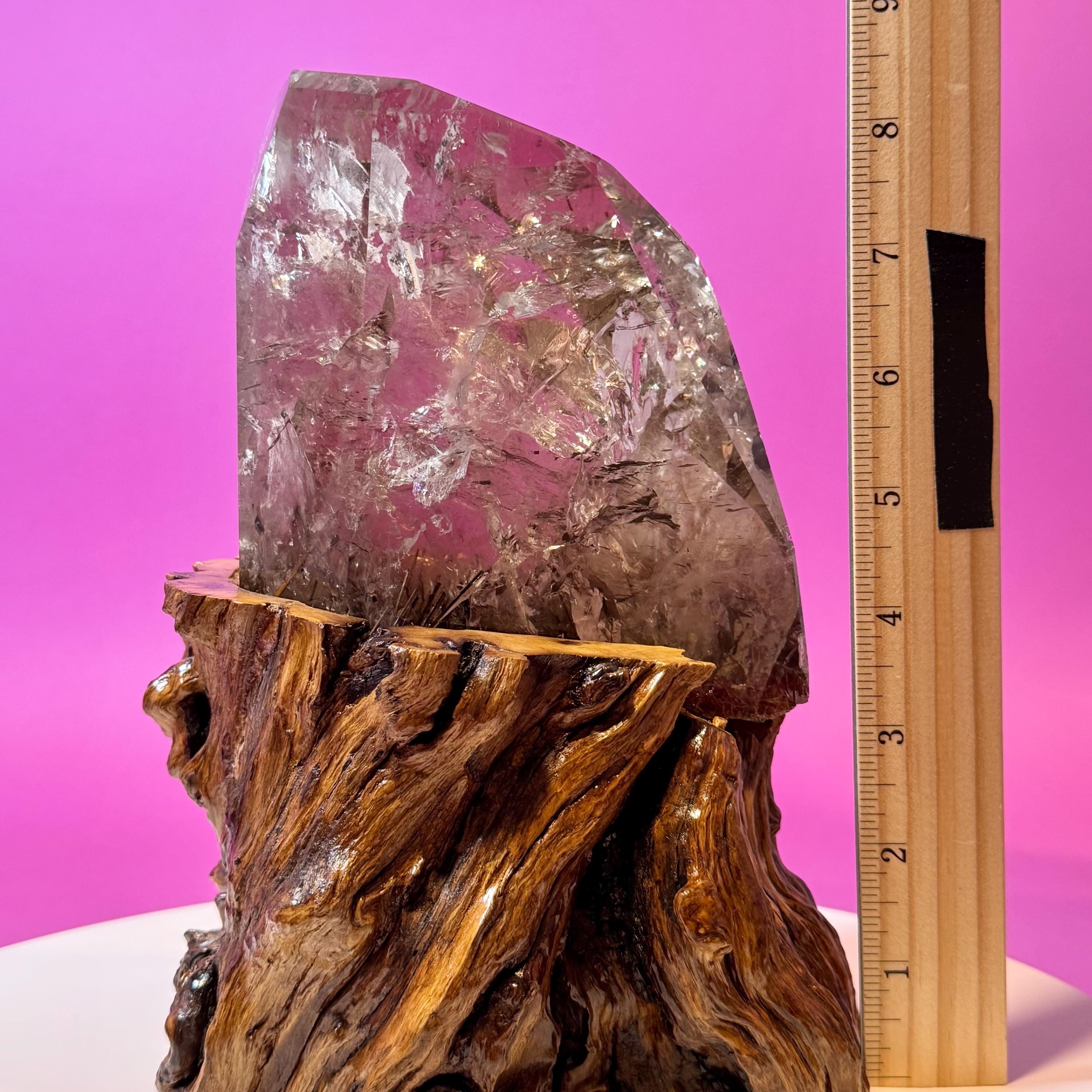 Rutile Quartz with Garden Inclusions on Custom Root Stand | Collector Crystal Display