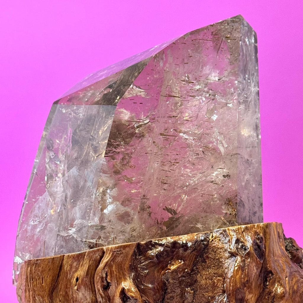 Rutile Quartz with Garden Inclusions on Custom Root Stand | Collector Crystal Display
