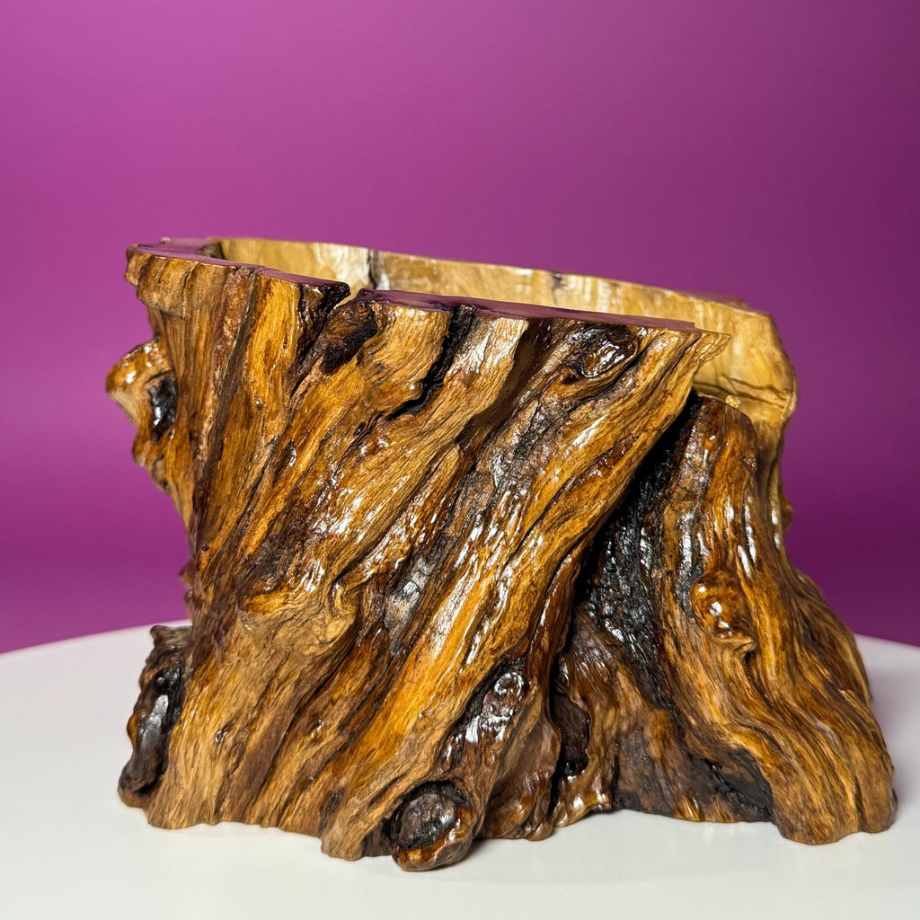 Rutile Quartz with Garden Inclusions on Custom Root Stand | Collector Crystal Display