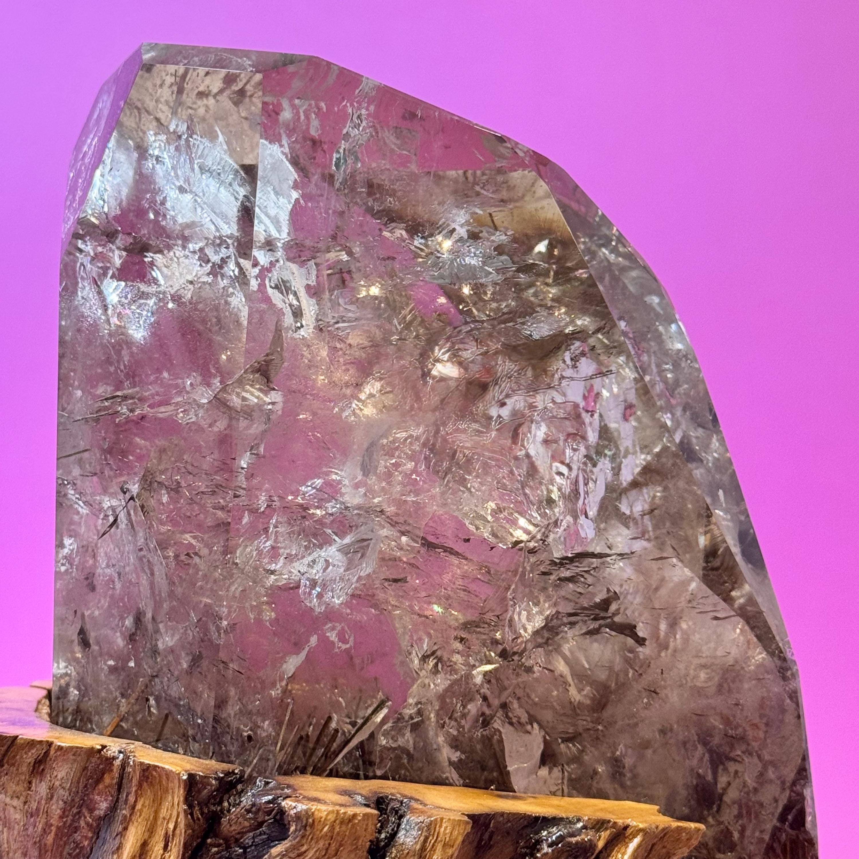 Rutile Quartz with Garden Inclusions on Custom Root Stand | Collector Crystal Display