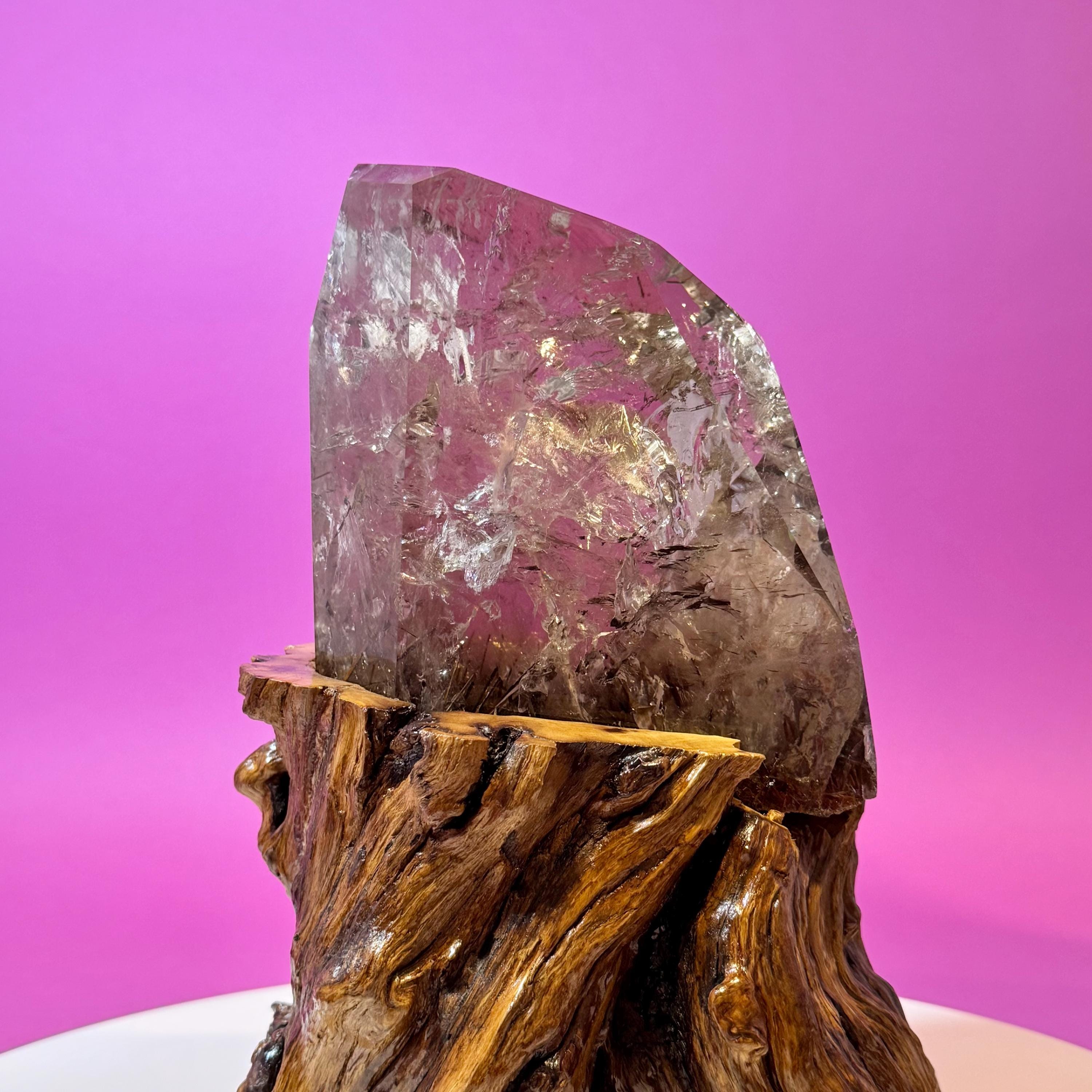Rutile Quartz with Garden Inclusions on Custom Root Stand | Collector Crystal Display