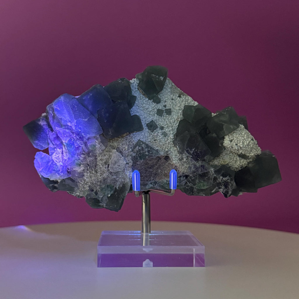 Blue Green Fluorite Specimen from Huanggangliang Mine | Inner Mongolia Crystal Display with Stand