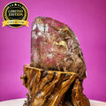 Rutile Quartz with Garden Inclusions on Custom Root Stand | Collector Crystal Display