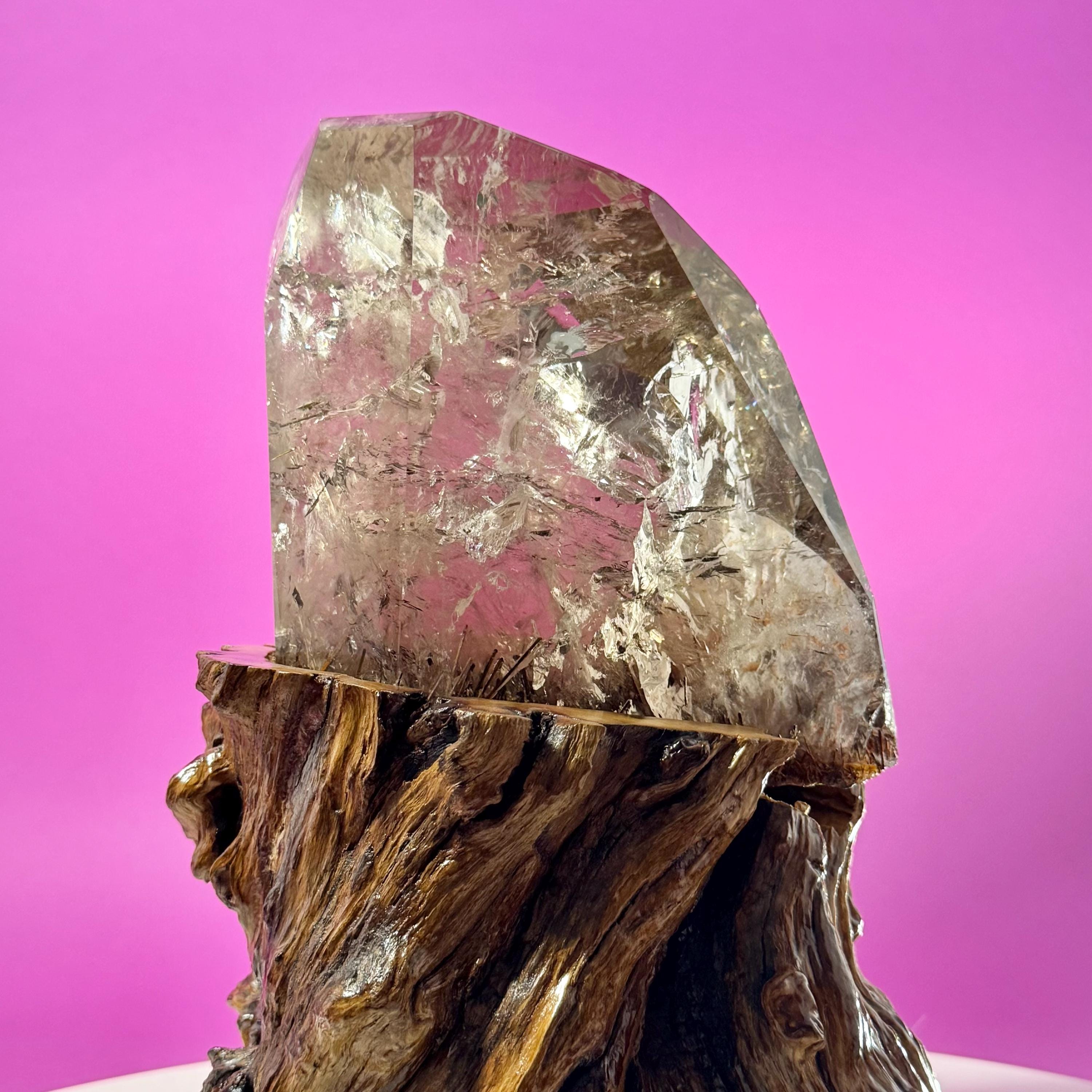 Rutile Quartz with Garden Inclusions on Custom Root Stand | Collector Crystal Display