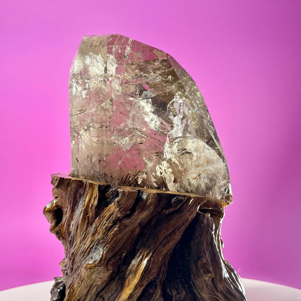 Rutile Quartz with Garden Inclusions on Custom Root Stand | Collector Crystal Display