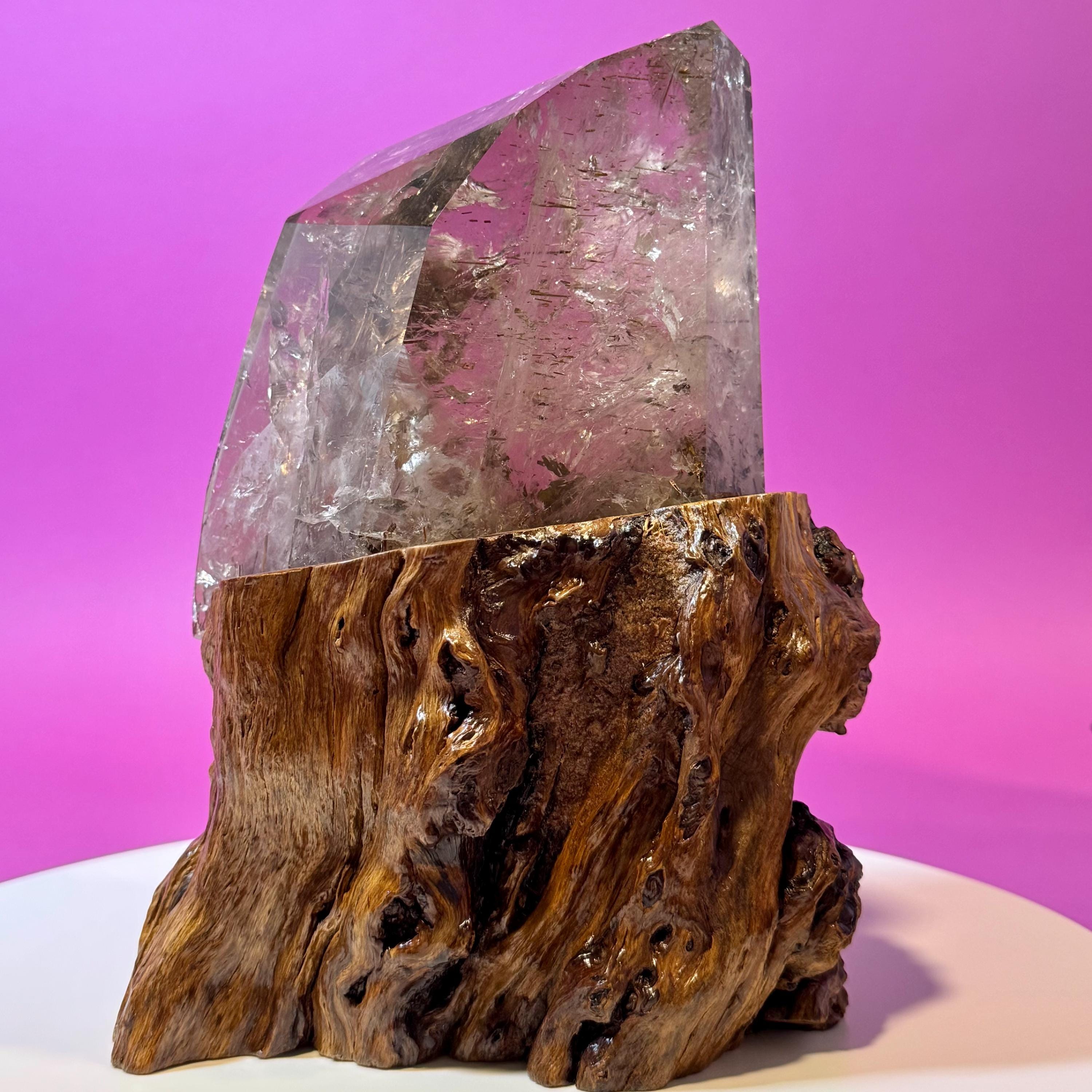 Rutile Quartz with Garden Inclusions on Custom Root Stand | Collector Crystal Display