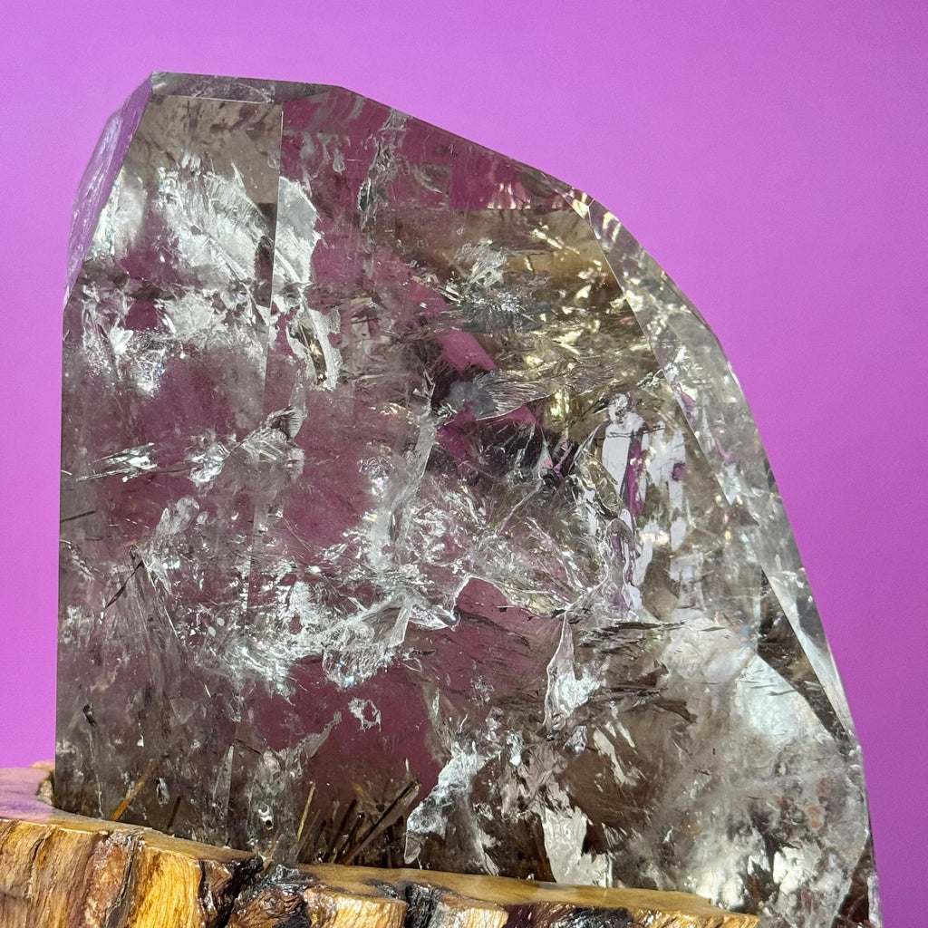 Rutile Quartz with Garden Inclusions on Custom Root Stand | Collector Crystal Display