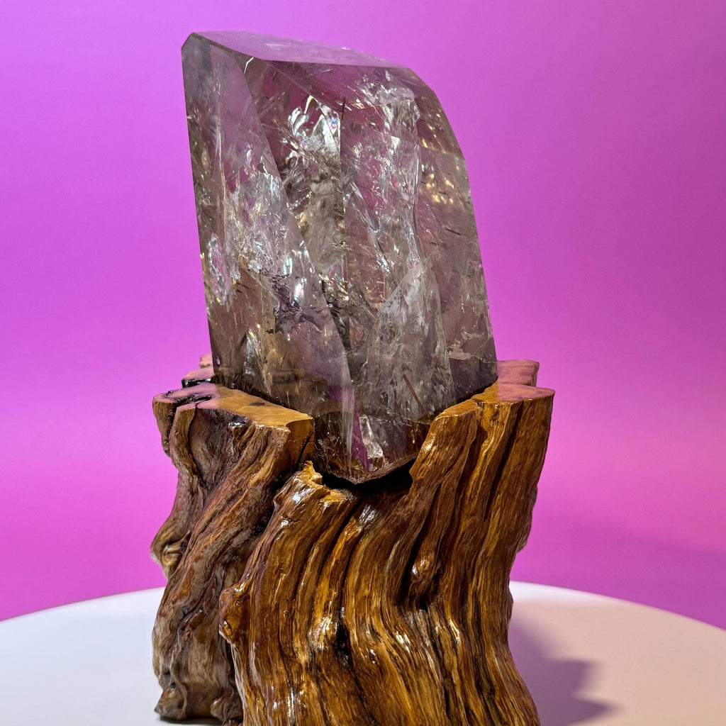 Rutile Quartz with Garden Inclusions on Custom Root Stand | Collector Crystal Display