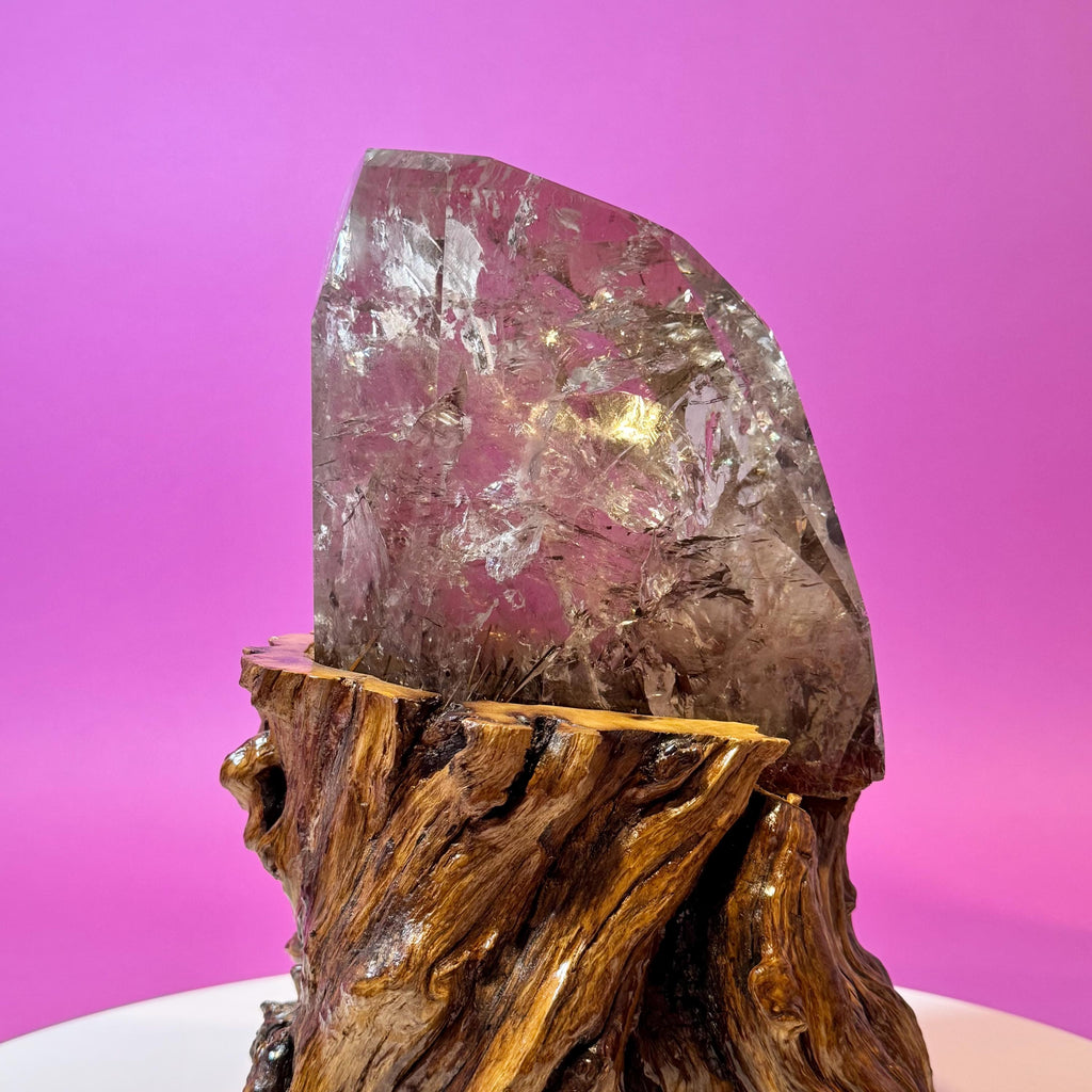 Rutile Quartz with Garden Inclusions on Custom Root Stand | Collector Crystal Display