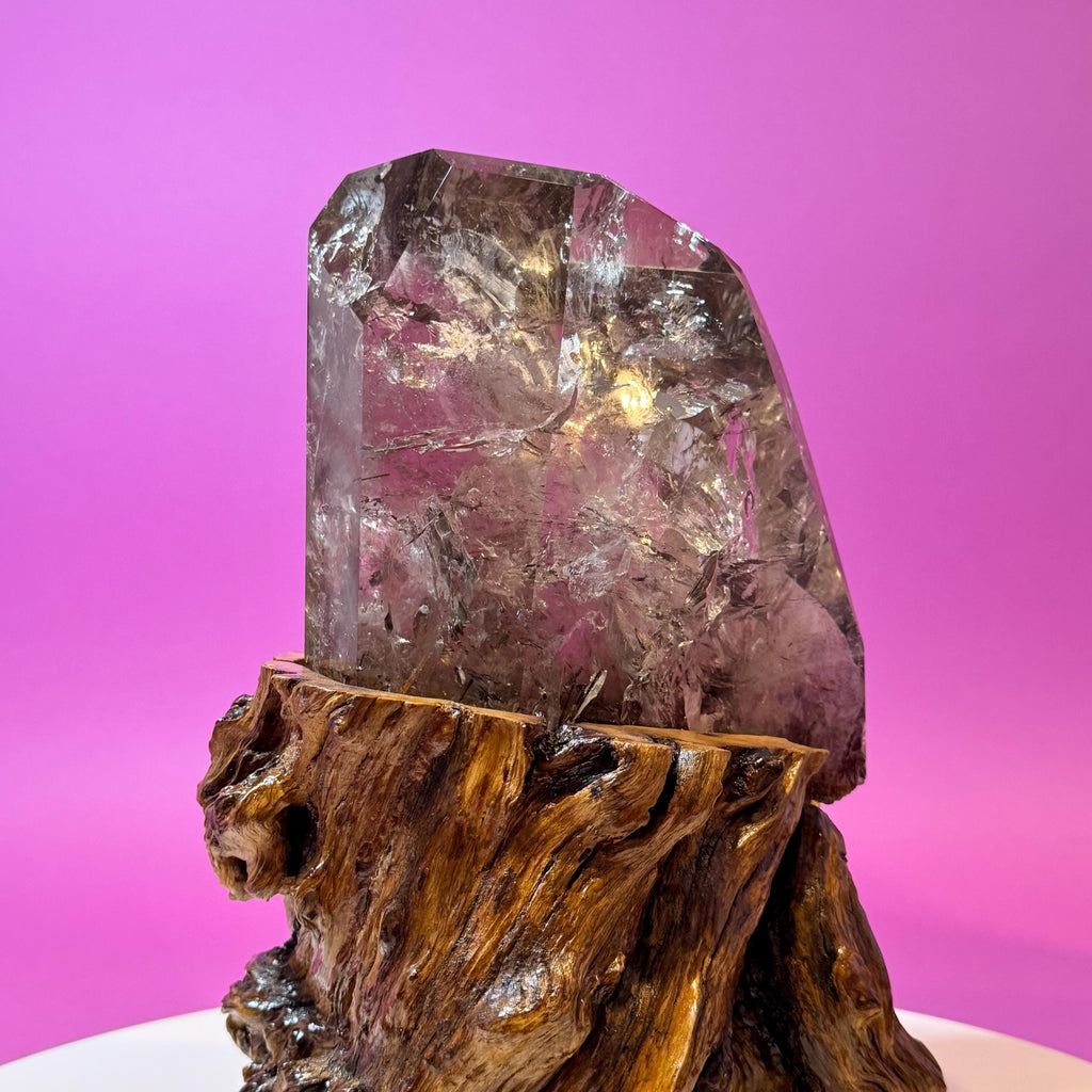 Rutile Quartz with Garden Inclusions on Custom Root Stand | Collector Crystal Display