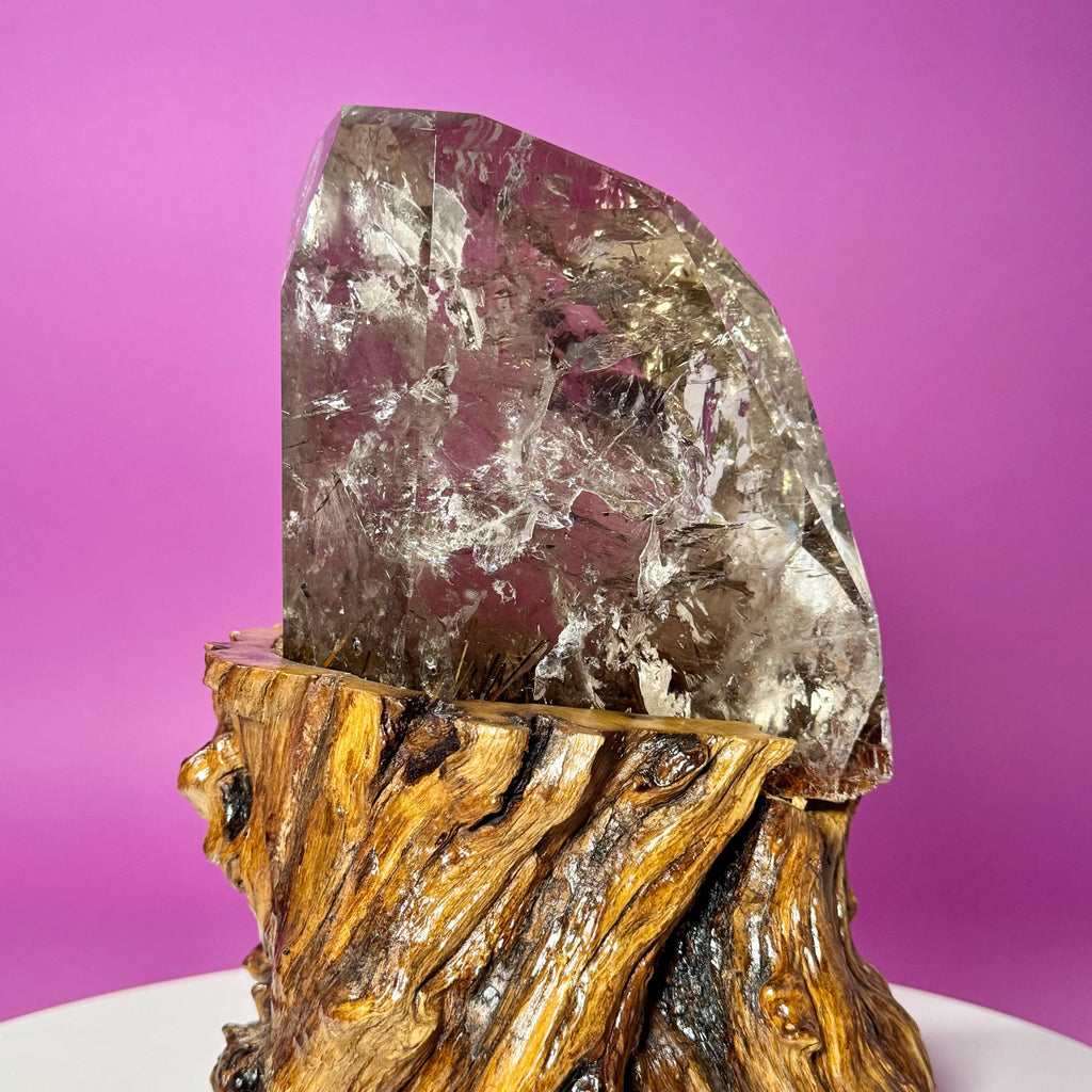 Rutile Quartz with Garden Inclusions on Custom Root Stand | Collector Crystal Display