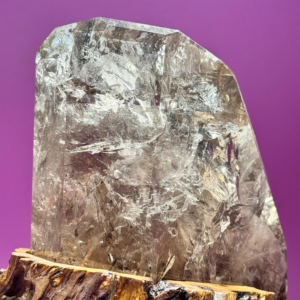 Rutile Quartz with Garden Inclusions on Custom Root Stand | Collector Crystal Display