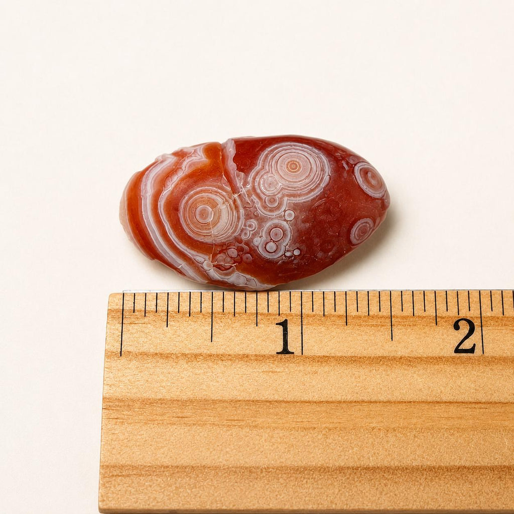 Gobi Agate Tumbles Choice of Color from Gobi Desert